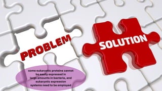 some eukaryotic proteins cannot
be easily expressed in
large amounts in bacteria, and
eukaryotic expression
systems need to be employed
 