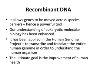 Gene cloning lecture notes 5 for 2010 | PPT
