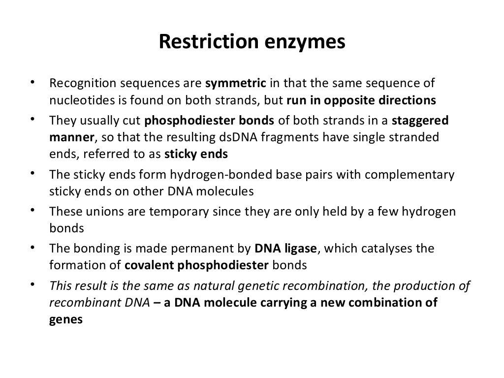 Cloning essay grade 12 picture