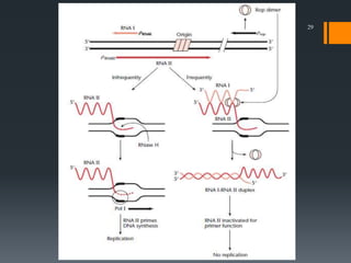 Gene Cloning | PPTX