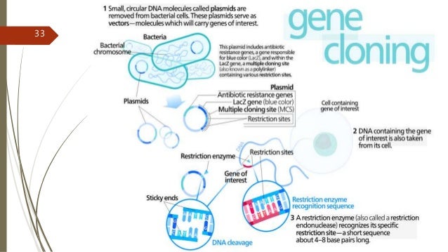 gene cloning sk gene cloning