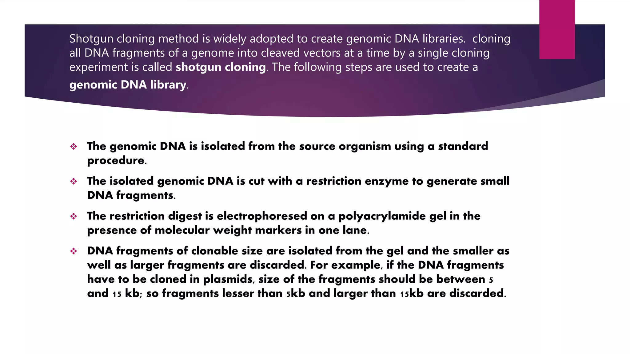 Shotgun cloning method is widely adopted to create genomic DNA libraries. cloning
all DNA fragments of a genome into cleaved vectors at a time by a single cloning
experiment is called shotgun cloning. The following steps are used to create a
genomic DNA library.
 The genomic DNA is isolated from the source organism using a standard
procedure.
 The isolated genomic DNA is cut with a restriction enzyme to generate small
DNA fragments.
 The restriction digest is electrophoresed on a polyacrylamide gel in the
presence of molecular weight markers in one lane.
 DNA fragments of clonable size are isolated from the gel and the smaller as
well as larger fragments are discarded. For example, if the DNA fragments
have to be cloned in plasmids, size of the fragments should be between 5
and 15 kb; so fragments lesser than 5kb and larger than 15kb are discarded.
 