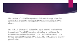 The creation of cDNA library needs a different strategy. It involves
construction of cDNAs, cloning of cDNAs and screening of cDNA
clones.
The cDNA is synthesized from mRNA by an enzyme called reverse
transcriptase. The cDNA is used as a template to synthesize the
second strand to form the duplex DNA. The double stranded DNA
formed from cDNA is called cDNA clone. The cDNA clone is used for
gene cloning.
 