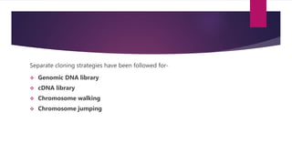 Separate cloning strategies have been followed for-
 Genomic DNA library
 cDNA library
 Chromosome walking
 Chromosome jumping
 