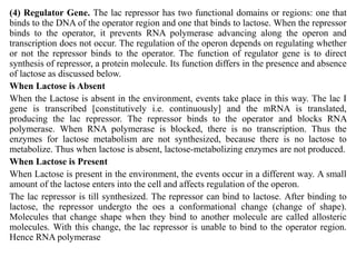 Gene concept.pptx