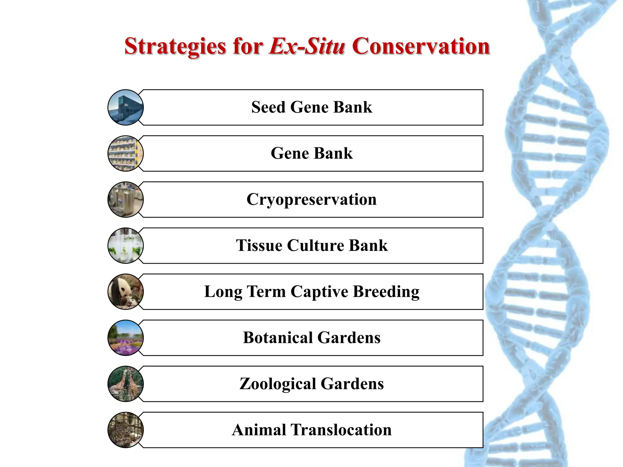 Gene Conservation, Types, Management and Advantages | PPT