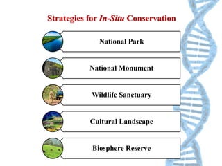 Conservation Typesa Gene Conservation, Types, Management and Advantages | PPTX