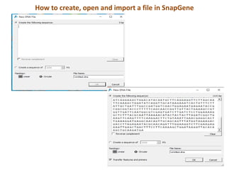 Gene construct development- Asif-6 17-6-22.pdf