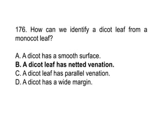 176. How can we identify a dicot leaf from a
monocot leaf?
A. A dicot has a smooth surface.
B. A dicot leaf has netted venation.
C. A dicot leaf has parallel venation.
D. A dicot has a wide margin.
 
