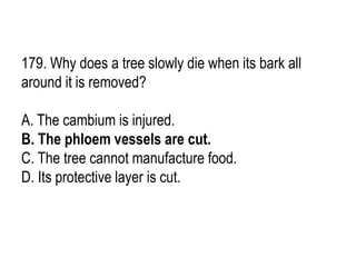 179. Why does a tree slowly die when its bark all
around it is removed?
A. The cambium is injured.
B. The phloem vessels are cut.
C. The tree cannot manufacture food.
D. Its protective layer is cut.
 