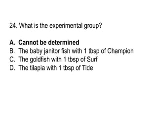 24. What is the experimental group?
A. Cannot be determined
B. The baby janitor fish with 1 tbsp of Champion
C. The goldfish with 1 tbsp of Surf
D. The tilapia with 1 tbsp of Tide
 