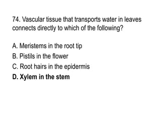 74. Vascular tissue that transports water in leaves
connects directly to which of the following?
A. Meristems in the root tip
B. Pistils in the flower
C. Root hairs in the epidermis
D. Xylem in the stem
 