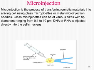 Gene delivery and gene therapy . Gene delivery , Gene therapy . | PPTX