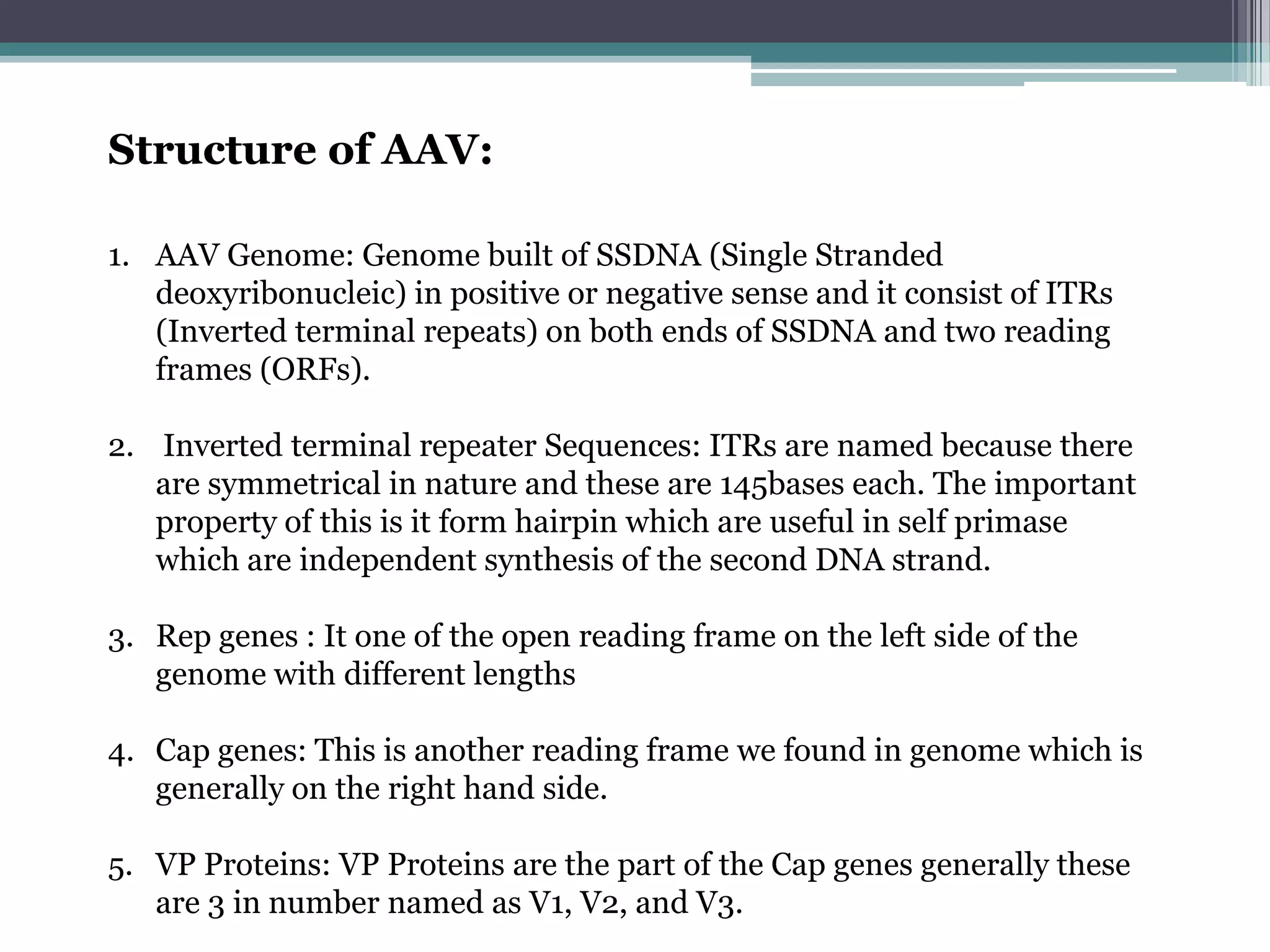 Structure of AAV:

1. AAV Genome: Genome built of SSDNA (Single Stranded
   deoxyribonucleic) in positive or negative sense and it consist of ITRs
   (Inverted terminal repeats) on both ends of SSDNA and two reading
   frames (ORFs).

2. Inverted terminal repeater Sequences: ITRs are named because there
   are symmetrical in nature and these are 145bases each. The important
   property of this is it form hairpin which are useful in self primase
   which are independent synthesis of the second DNA strand.

3. Rep genes : It one of the open reading frame on the left side of the
   genome with different lengths

4. Cap genes: This is another reading frame we found in genome which is
   generally on the right hand side.

5. VP Proteins: VP Proteins are the part of the Cap genes generally these
   are 3 in number named as V1, V2, and V3.
 