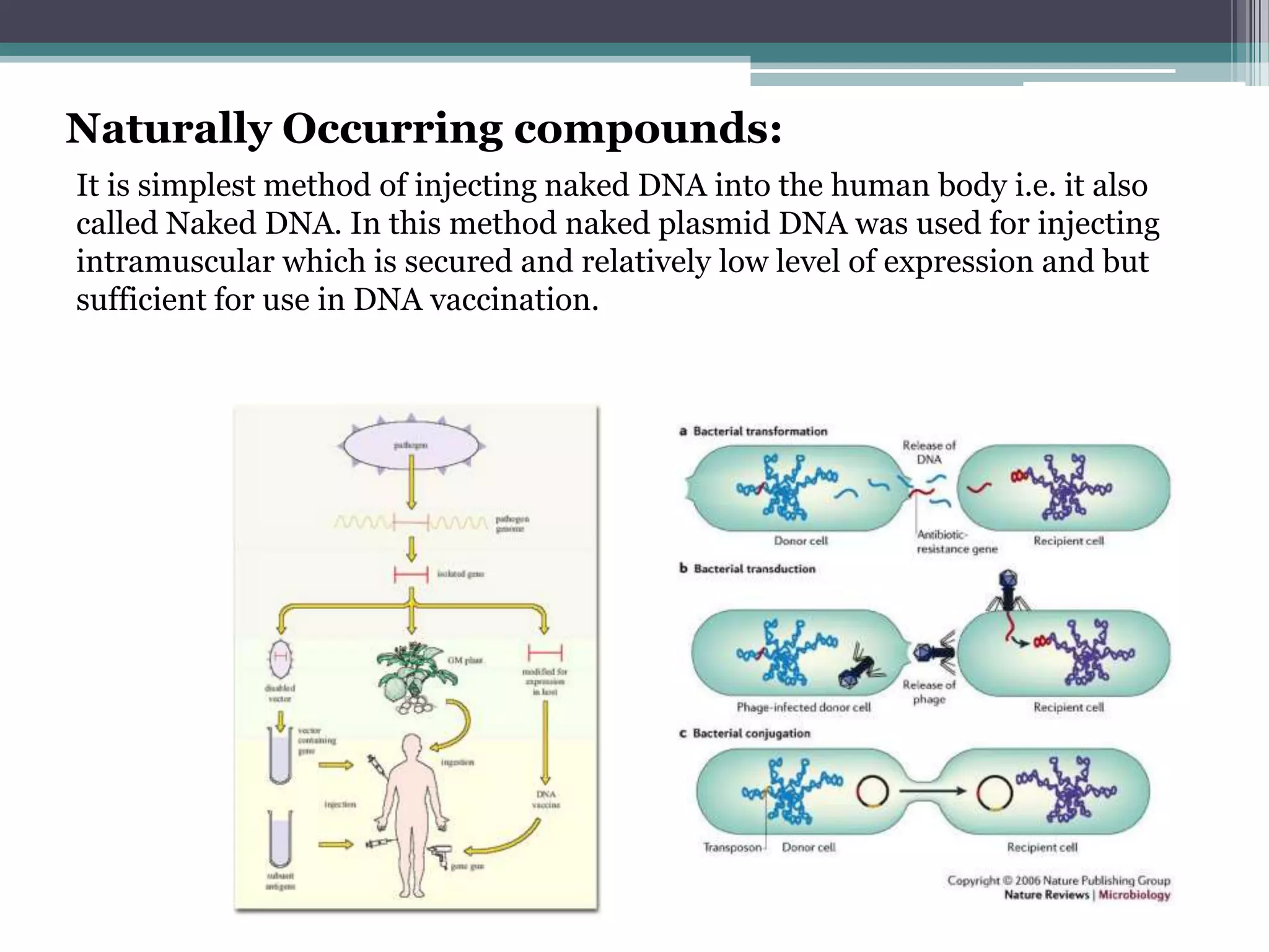 Naturally Occurring compounds:
It is simplest method of injecting naked DNA into the human body i.e. it also
called Naked DNA. In this method naked plasmid DNA was used for injecting
intramuscular which is secured and relatively low level of expression and but
sufficient for use in DNA vaccination.
 