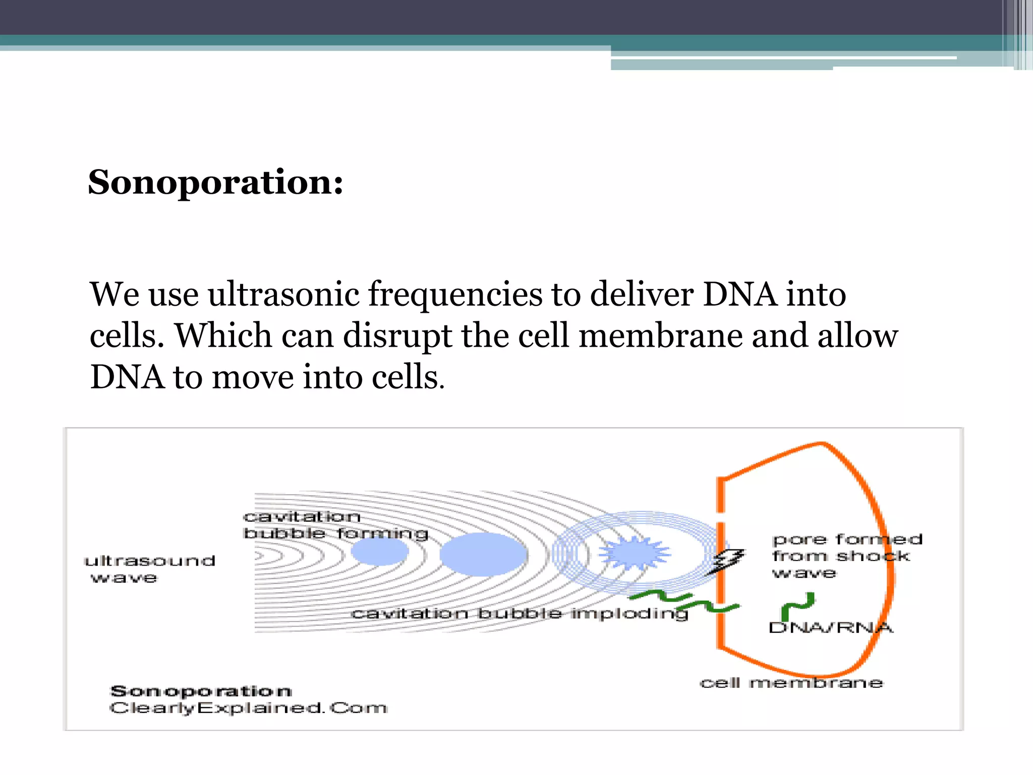 Sonoporation:


We use ultrasonic frequencies to deliver DNA into
cells. Which can disrupt the cell membrane and allow
DNA to move into cells.
 