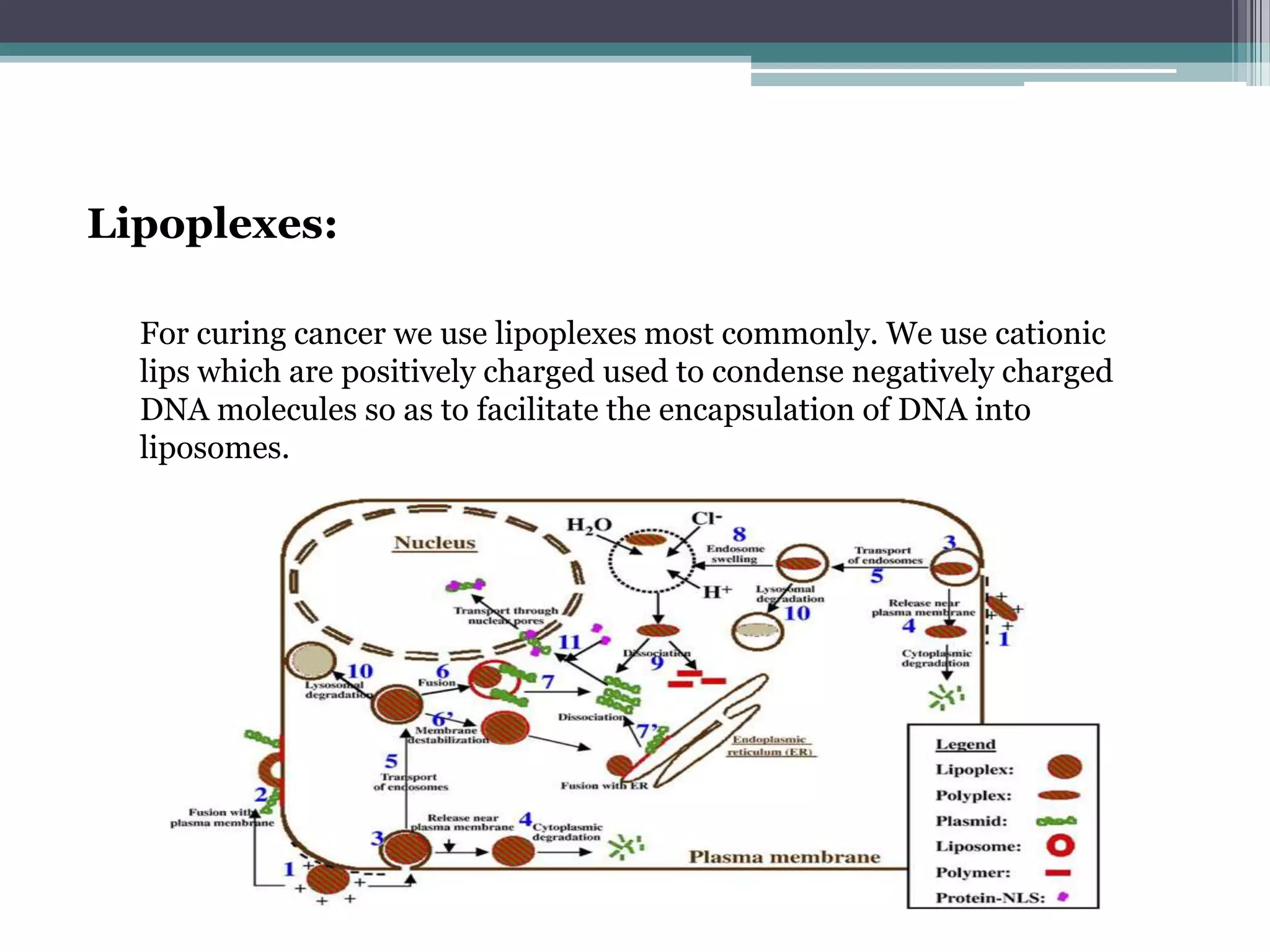 Lipoplexes:

  For curing cancer we use lipoplexes most commonly. We use cationic
  lips which are positively charged used to condense negatively charged
  DNA molecules so as to facilitate the encapsulation of DNA into
  liposomes.
 