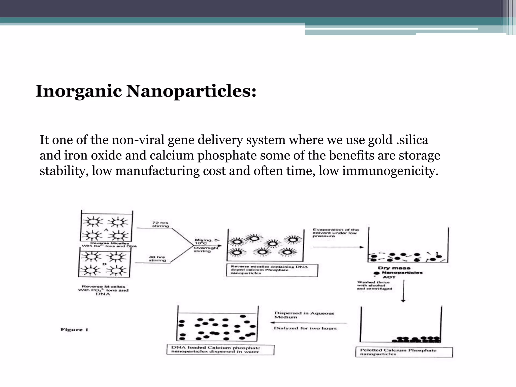 Inorganic Nanoparticles:

It one of the non-viral gene delivery system where we use gold .silica
and iron oxide and calcium phosphate some of the benefits are storage
stability, low manufacturing cost and often time, low immunogenicity.
 