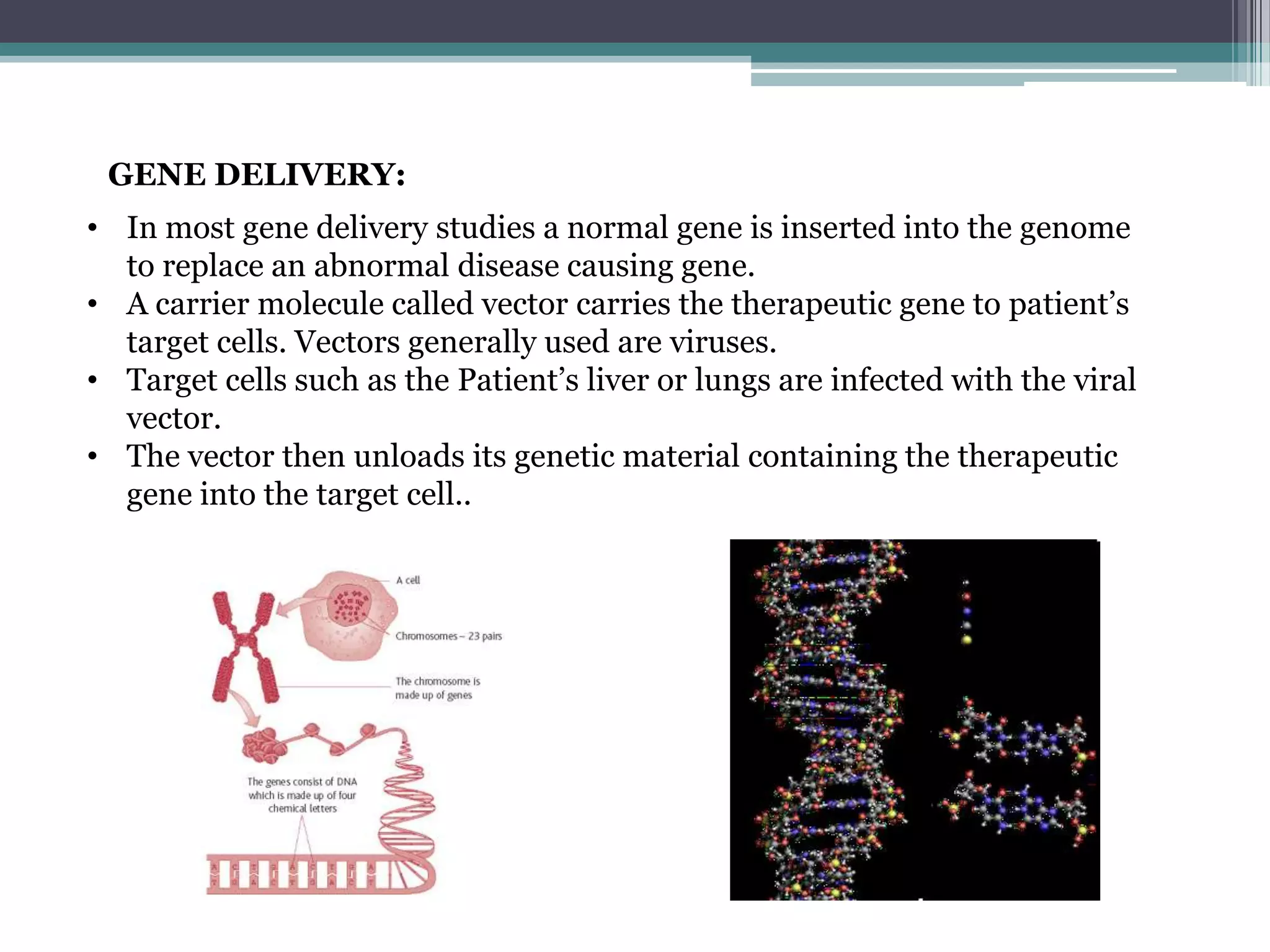 GENE DELIVERY:
• In most gene delivery studies a normal gene is inserted into the genome
  to replace an abnormal disease causing gene.
• A carrier molecule called vector carries the therapeutic gene to patient’s
  target cells. Vectors generally used are viruses.
• Target cells such as the Patient’s liver or lungs are infected with the viral
  vector.
• The vector then unloads its genetic material containing the therapeutic
  gene into the target cell..
 