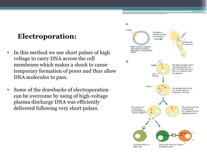 Gene delivery system