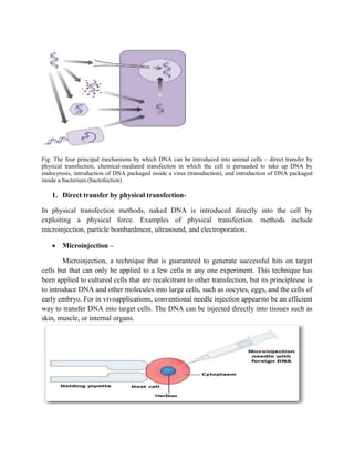 Gene delivery System | DOCX