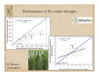 Gene discovery application_rice