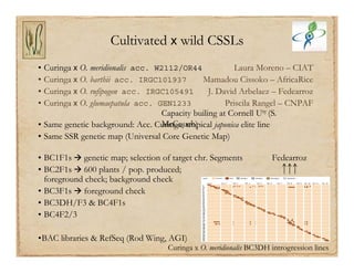 Gene discovery application_rice