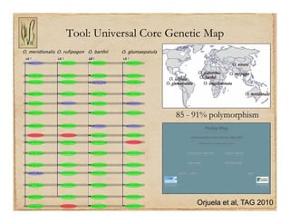 Gene discovery application_rice
