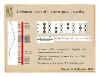 Gene discovery application_rice