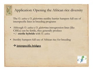 Gene discovery application_rice