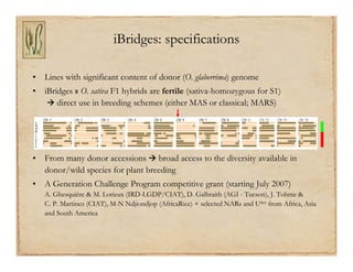 Gene discovery application_rice