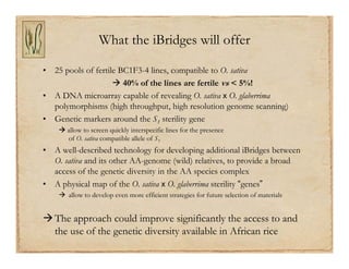 Gene discovery application_rice