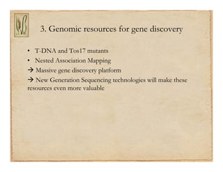 Gene discovery application_rice