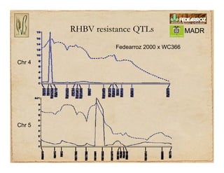 Gene discovery application_rice