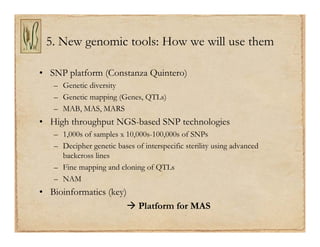 Gene discovery application_rice
