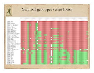 Gene discovery application_rice