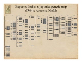 Gene discovery application_rice