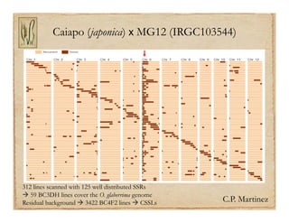 Gene discovery application_rice