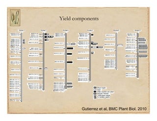 Gene discovery application_rice