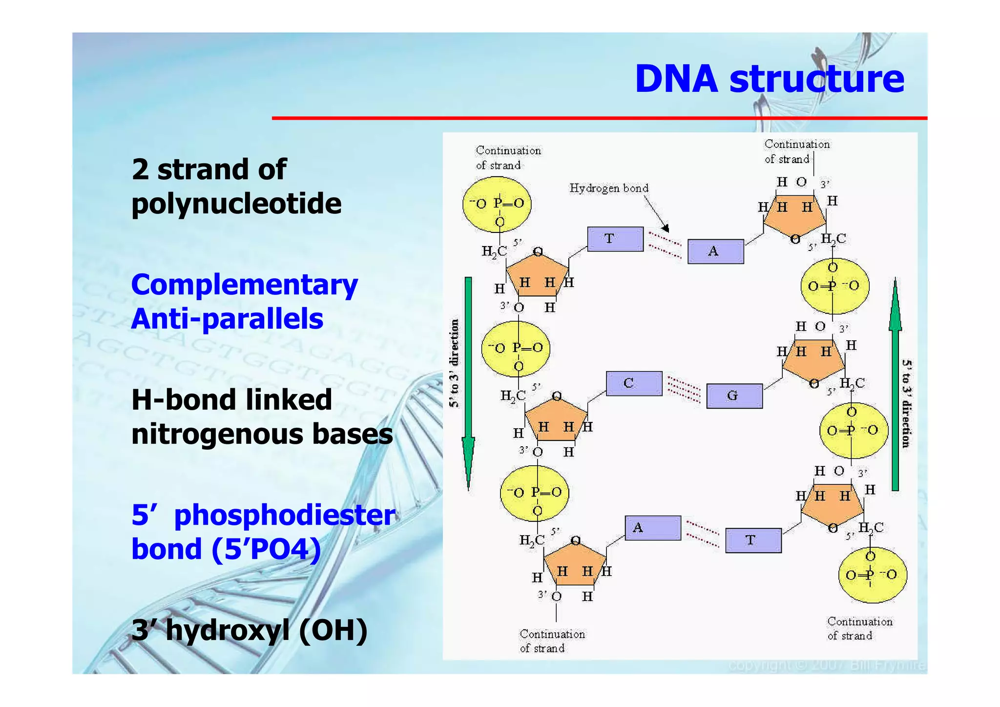 DNA structure

2 strand of
polynucleotide

Complementary
Anti-parallels

H-bond linked
nitrogenous bases

5’ phosphodiester
bond (5’PO4)

3’ hydroxyl (OH)
 