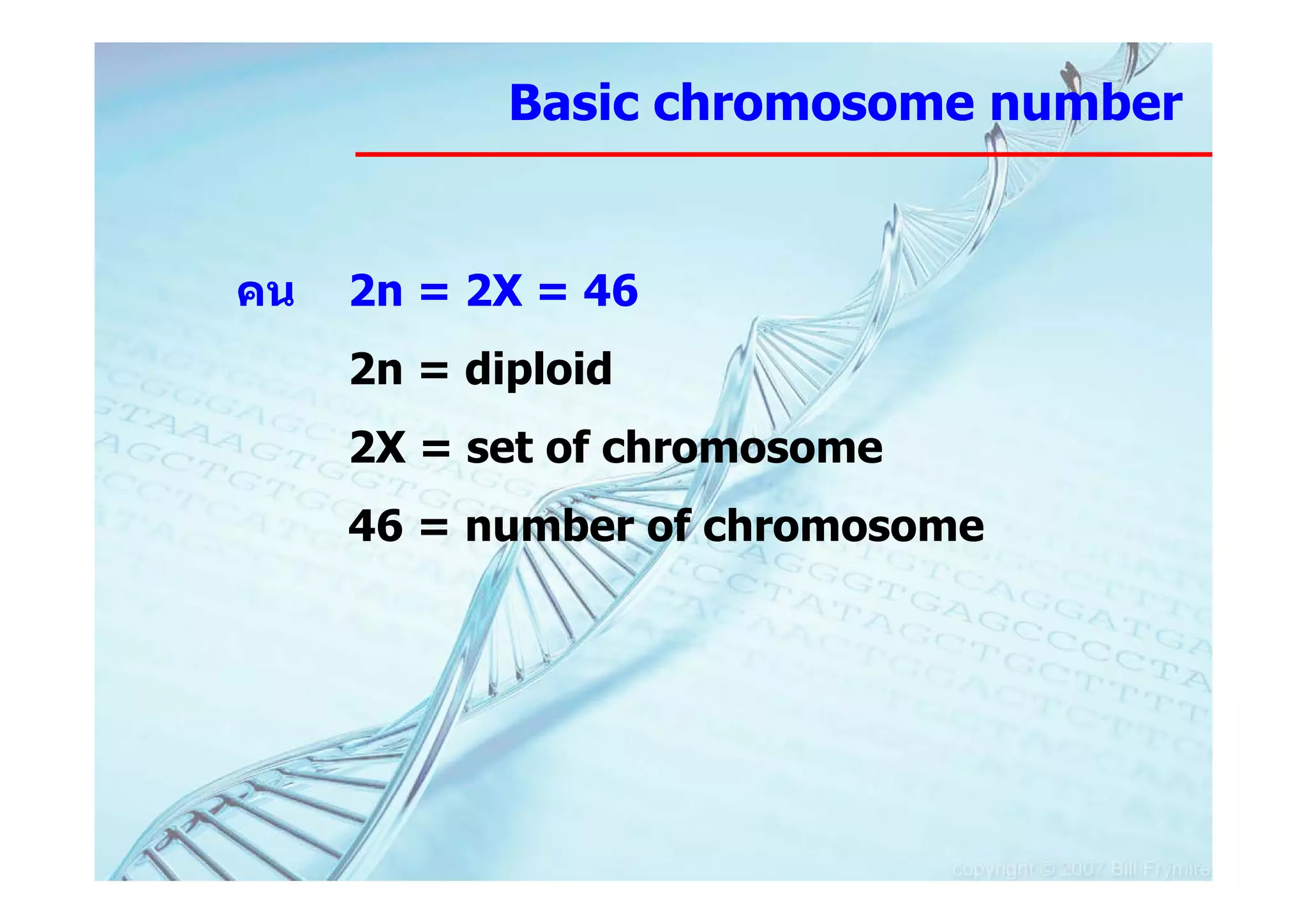 Basic chromosome number


คน   2n = 2X = 46
     2n = diploid
     2X = set of chromosome
     46 = number of chromosome
 