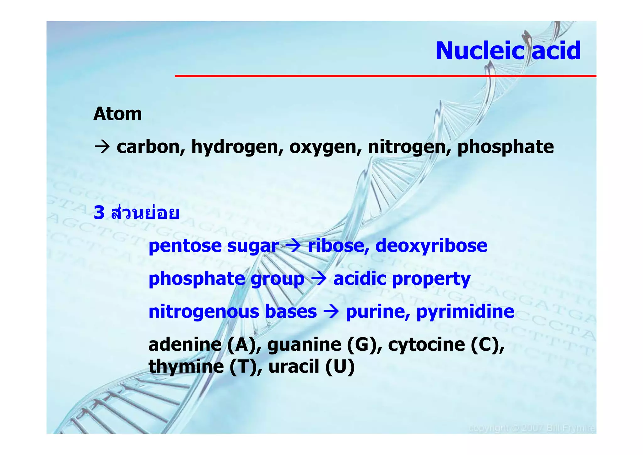 Nucleic acid

Atom
  carbon, hydrogen, oxygen, nitrogen, phosphate


3 สวนยอย
       pentose sugar     ribose, deoxyribose
       phosphate group     acidic property
       nitrogenous bases     purine, pyrimidine
       adenine (A), guanine (G), cytocine (C),
       thymine (T), uracil (U)
 