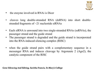 Gene Silencing And Editing, Saritha Francis, St.Mary’s College
• the enzyme involved in RNAi is Dicer
• cleaves long double-stranded RNA (dsRNA) into short double-
stranded fragments of ~21 nucleotide siRNAs
• Each siRNA is unwound into two single-stranded RNAs (ssRNAs), the
passenger strand and the guide strand
• The passenger strand is degraded and the guide strand is incorporated
into the RNA-induced silencing complex (RISC)
• when the guide strand pairs with a complementary sequence in a
messenger RNA and induces cleavage by Argonaute 2 (Ago2), the
catalytic component of the RISC
 
