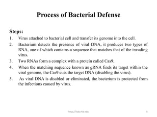 Process of Bacterial Defense
Steps:
1. Virus attached to bacterial cell and transfer its genome into the cell.
2. Bacterium detects the presence of viral DNA, it produces two types of
RNA, one of which contains a sequence that matches that of the invading
virus.
3. Two RNAs form a complex with a protein called Cas9.
4. When the matching sequence known as gRNA finds its target within the
viral genome, the Cas9 cuts the target DNA (disabling the virus).
5. As viral DNA is disabled or eliminated, the bacterium is protected from
the infections caused by virus.
http://zlab.mit.edu 6
 
