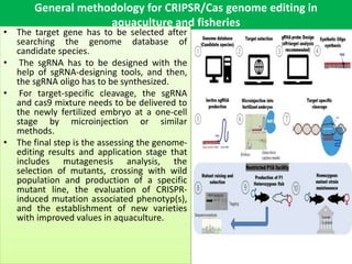 Gene Editing of Fishes and its Applications in Aquatic Medicine by B.pptx