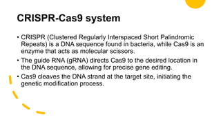 CRISPR-Cas9 system
• CRISPR (Clustered Regularly Interspaced Short Palindromic
Repeats) is a DNA sequence found in bacteria, while Cas9 is an
enzyme that acts as molecular scissors.
• The guide RNA (gRNA) directs Cas9 to the desired location in
the DNA sequence, allowing for precise gene editing.
• Cas9 cleaves the DNA strand at the target site, initiating the
genetic modification process.
 