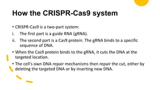 How the CRISPR-Cas9 system
• CRISPR-Cas9 is a two-part system:
i. The first part is a guide RNA (gRNA).
ii. The second part is a Cas9 protein. The gRNA binds to a specific
sequence of DNA.
• When the Cas9 protein binds to the gRNA, it cuts the DNA at the
targeted location.
• The cell's own DNA repair mechanisms then repair the cut, either by
deleting the targeted DNA or by inserting new DNA.
 