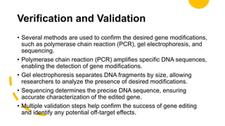 Verification and Validation
• Several methods are used to confirm the desired gene modifications,
such as polymerase chain reaction (PCR), gel electrophoresis, and
sequencing.
• Polymerase chain reaction (PCR) amplifies specific DNA sequences,
enabling the detection of gene modifications.
• Gel electrophoresis separates DNA fragments by size, allowing
researchers to analyze the presence of desired modifications.
• Sequencing determines the precise DNA sequence, ensuring
accurate characterization of the edited gene.
• Multiple validation steps help confirm the success of gene editing
and identify any potential off-target effects.
 