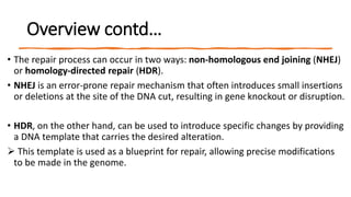Overview contd…
• The repair process can occur in two ways: non-homologous end joining (NHEJ)
or homology-directed repair (HDR).
• NHEJ is an error-prone repair mechanism that often introduces small insertions
or deletions at the site of the DNA cut, resulting in gene knockout or disruption.
• HDR, on the other hand, can be used to introduce specific changes by providing
a DNA template that carries the desired alteration.
 This template is used as a blueprint for repair, allowing precise modifications
to be made in the genome.
 