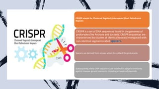 CRISPR stands for Clustered Regularly Interspaced Short Palindromic
Repeats.
CRISPR is a set of DNA sequences found in the genomes of
prokaryotes like Archaea and bacteria. CRISPR sequences are
characterized by clusters of identical repeats interspaced with
non-identical segments called spacers.
Spacers are derived from viruses when they attack the prokaryote.
Subsequently, these DNA sequences are involved in adaptive immunity
against invasive genetic elements, including viruses and plasmids.
 